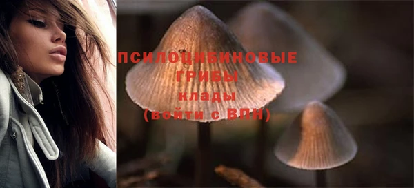 а пвп мука Ельня