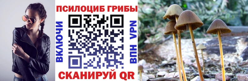 Галлюциногенные грибы Magic Shrooms  Купить где  Чусовой 